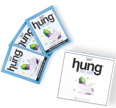 HUNG ANTI-BACTERIAL PIPE WIPES MINT 16CT