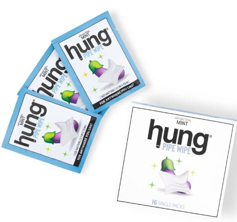HUNG  ANTI-BACTERIAL PIPE WIPES MINT 16CT