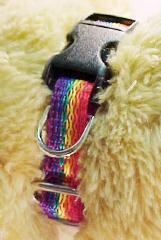 RAINBOW NYLON PET COLLAR LG (19-29"Lx1"W)