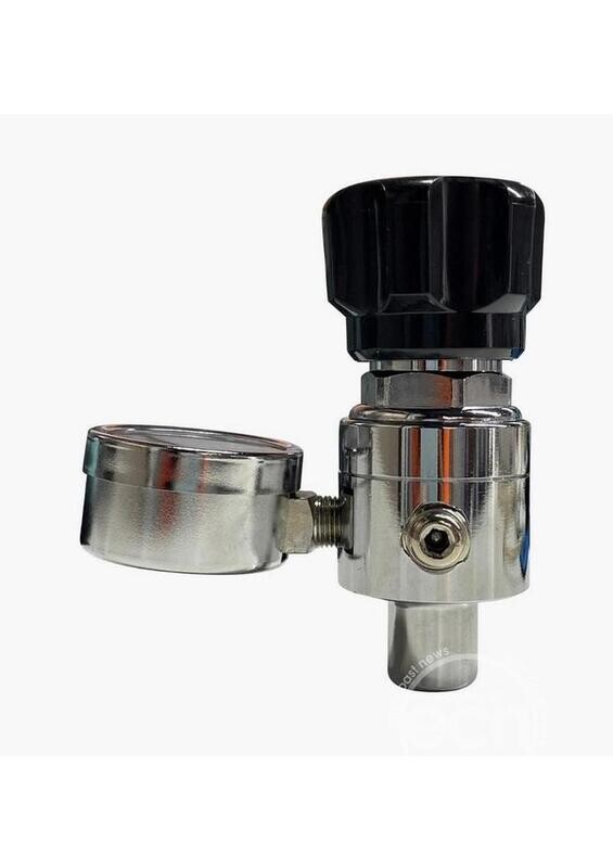 BIG WHIP SINGLE STAGE REGULATOR
