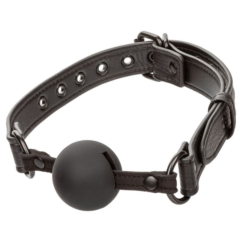 NOCTURNAL COLLECTION BALL GAG