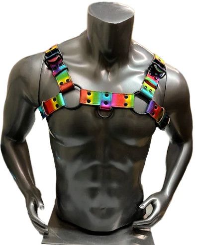 RAINBOW LEATHER BULLDOG HARNESS