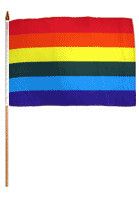 RAINBOW PARADE FLAG 12" X 18"