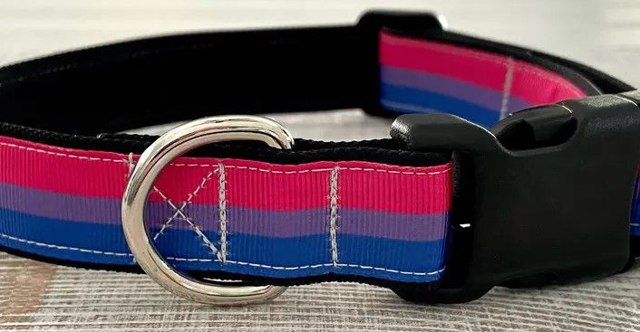 BISEXUAL PRIDE DOG COLLAR