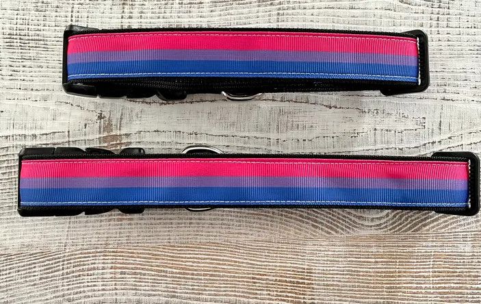 BISEXUAL PRIDE DOG COLLAR, Size: MEDIUM 13" - 16"