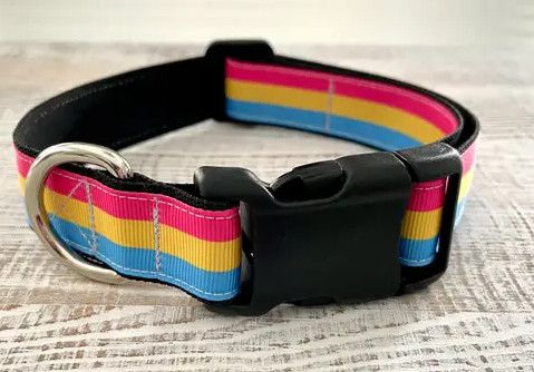 PANSEXUAL PRIDE DOG COLLAR
