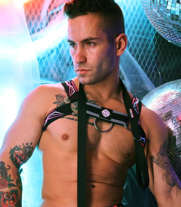 BREEDWELL CYBER NIGHTS HARNESS