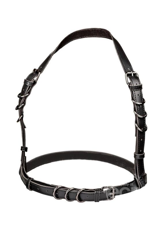 EUPHORIA COLLECTION HALTER BUCKLE HARNESS EUPHORIA COLLECTION HALTER BUCKLE HARNESS