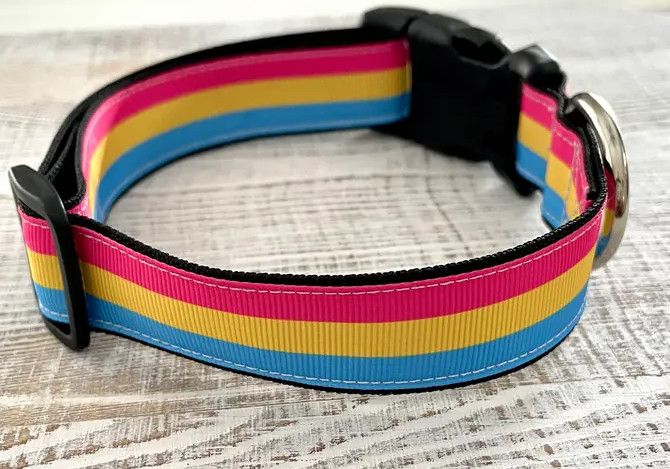 PANSEXUAL PRIDE DOG COLLAR, Size: MEDIUM 13" - 16"