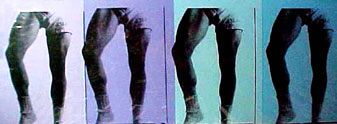 POSTER - Christopher Makos: LEGS OF YALE BLUE/GRAY