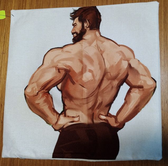 DECORATIVE PILLOW CASE WITH ZIPPER 18" X 18" CANVAS, Type: SHIRTLESS MAN BACK VIEW