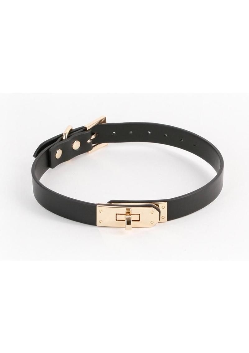FETISH & FASHION BLACK & GOLD COLLAR, Type: SADIE