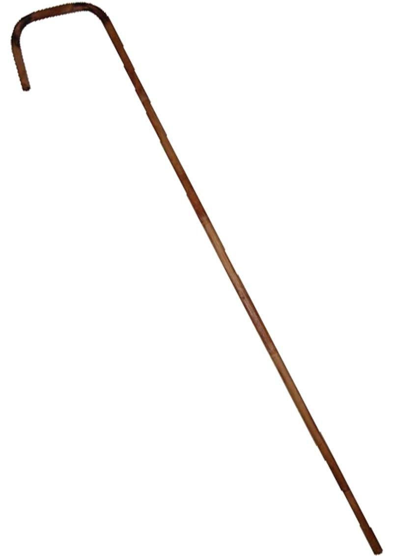 ROUGE BAMBOO CANE 29"