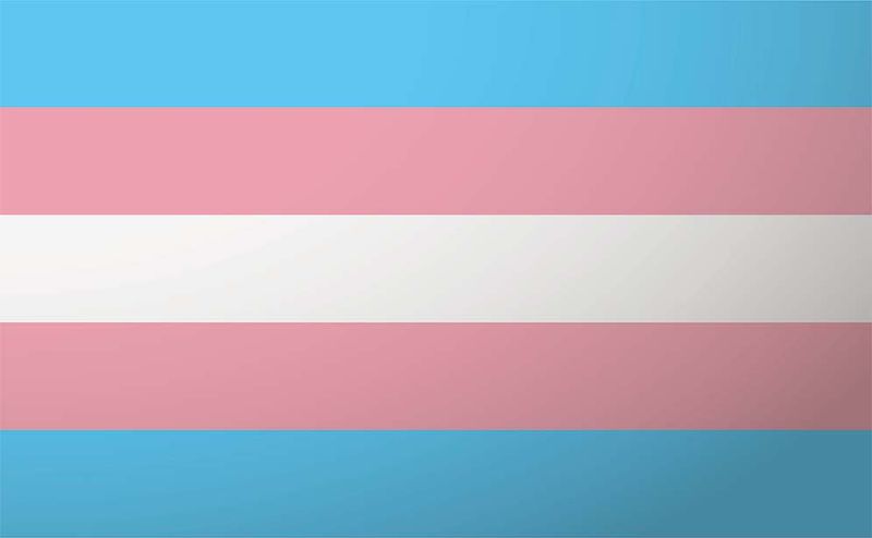 TRANSGENDER FLAG POLYESTER