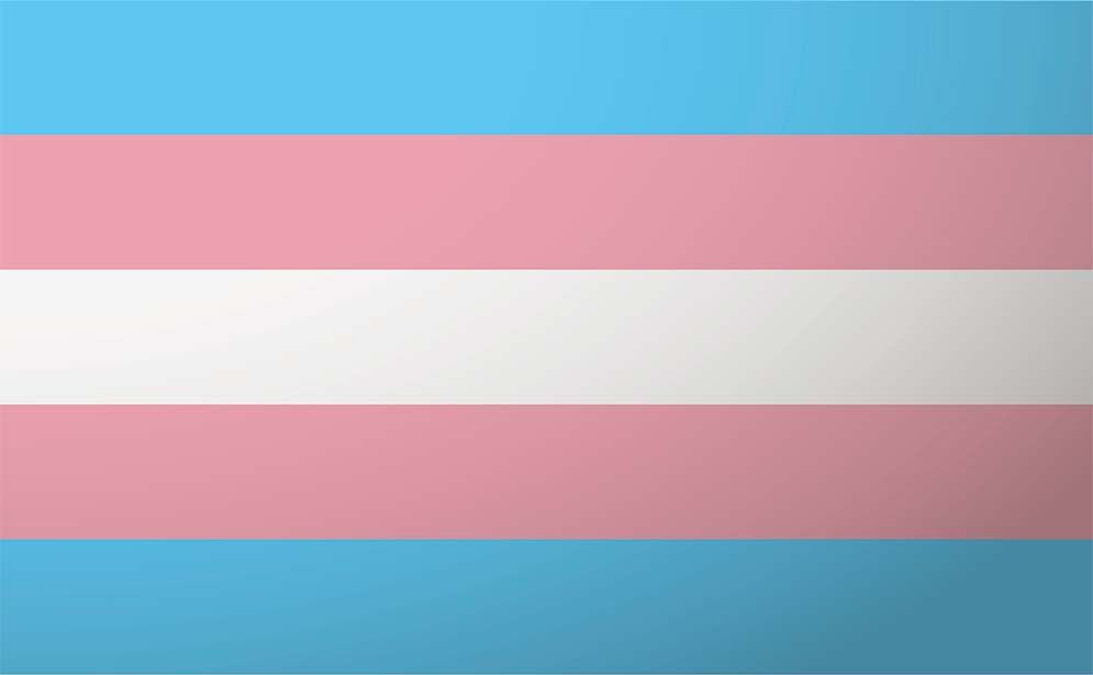 TRANSGENDER FLAG POLYESTER, Size: 2' X 3'