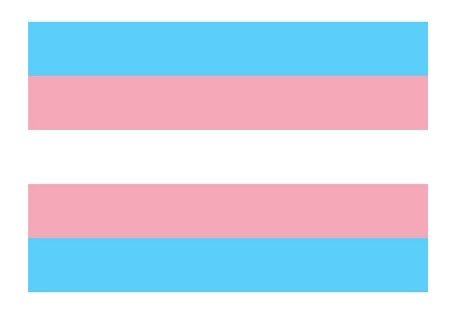 TRANSGENDER FLAG STICKER 3.75" X 5"