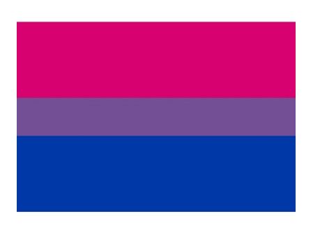 BI PRIDE FLAG STICKER 3.75" X 5"