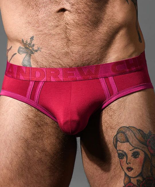 ANDREW CHRISTIAN COOLFLEX MODAL BRIEF WITH SHOW-IT BURGUDY