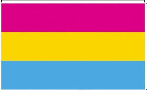 MINI PRIDE FLAGS 5.5" X 8.25", Type: PANSEXUAL