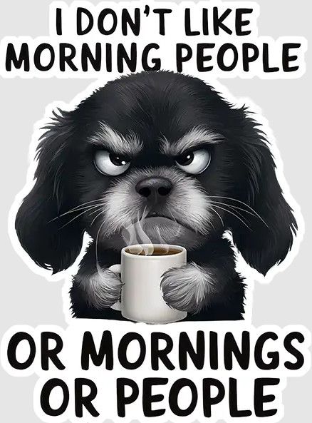 STICKER : I DONT LIKE MORNING PEOPLE STICKER : I DONT LIKE MORNING PEOPLE
