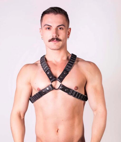 PROWLER RED BALLISTIC HARNESS BLACK/SILVER
