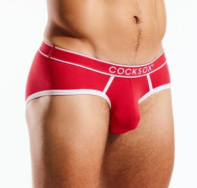 BRIEFS