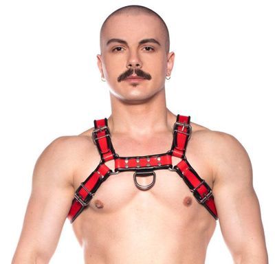 CHEST HARNESS