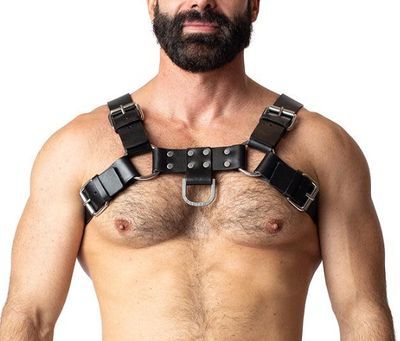 Leather & Harness