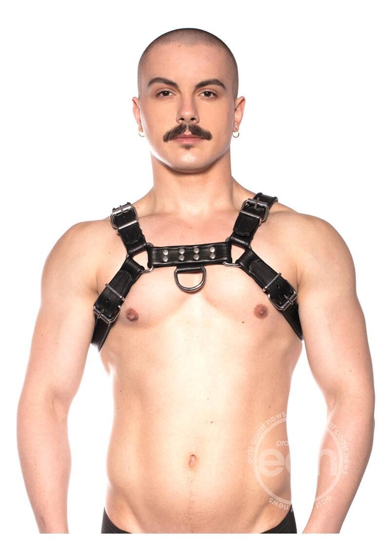 PROWLER RED BULL HARNESS PROWLER RED BULL HARNESS, Color: BLACK, Size: SMALL