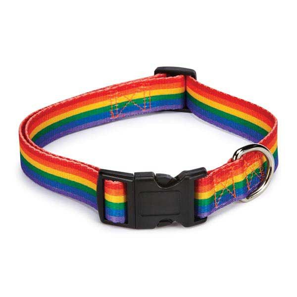 RAINBOW NYLON PET COLLAR PUPPY/CAT SIZE