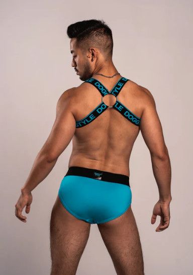 DOGGY STYLE BRIEF ELECTRIC BLUE