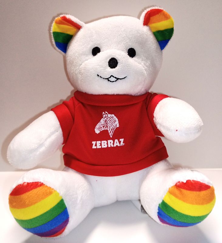 Rainbow Bear 6" with Zebraz Shirt