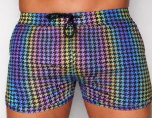 CHRIS TURK REFLECTIVE GINGHAM CLASP SWIM SHORT CHRIS TURK REFLECTIVE GINGHAM CLASP SWIM SHORT