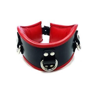 ROUGE ADJUSTABLE LEATHER  POSTURE COLLAR