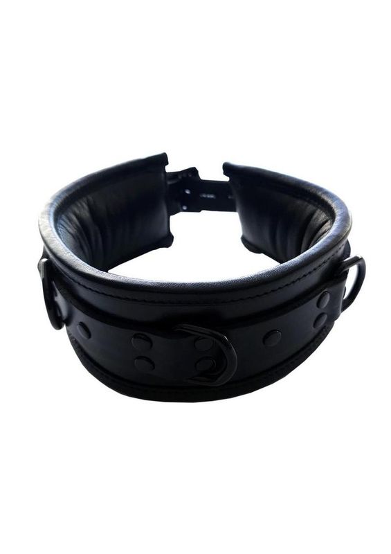 ROUGE 3 D-RING PADDED LEATHER COLLAR BLACK WITH BLACK ACCESSORIES