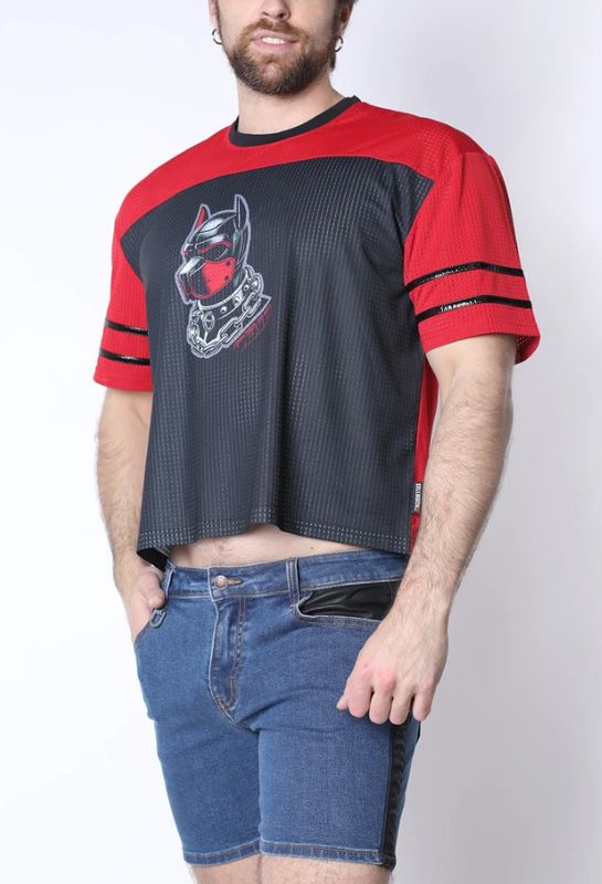 CELLBLOCK 13 KENNEL CLUB DARK PUP CROP TOP RED