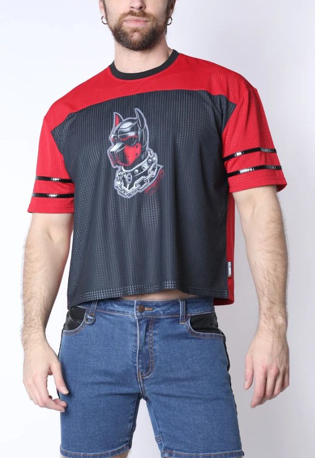 CELLBLOCK 13 KENNEL CLUB DARK PUP CROP TOP RED CELLBLOCK 13 KENNEL CLUB DARK PUP CROP TOP RED, Size: MEDIUM