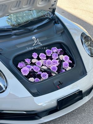 Trunk Surprise - Purple breeze