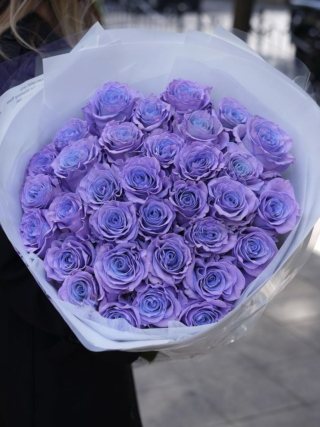 Blue Lavender Round Bouquet I (19/33 stems)
