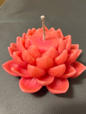 Realistic Lotus