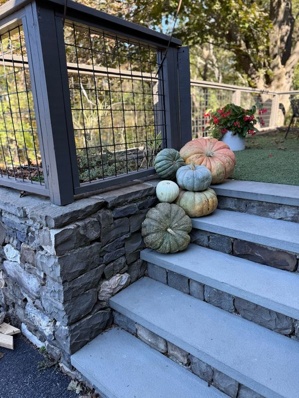 Ornamentals Only - Package D