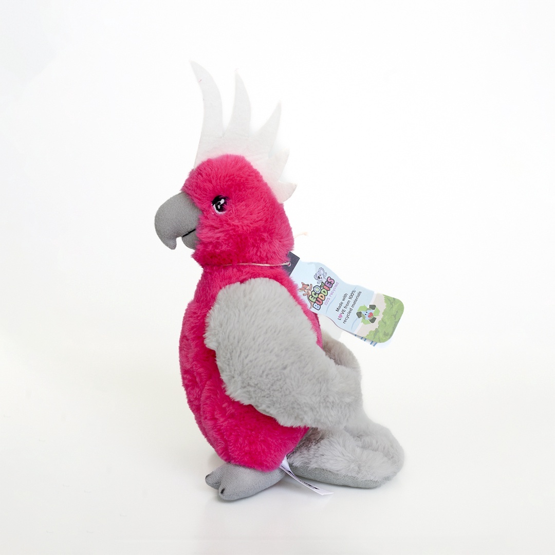 Galah plush outlet