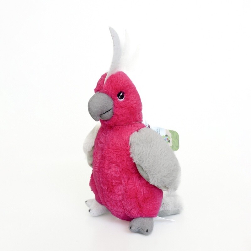 Galah Eco Plush Toy