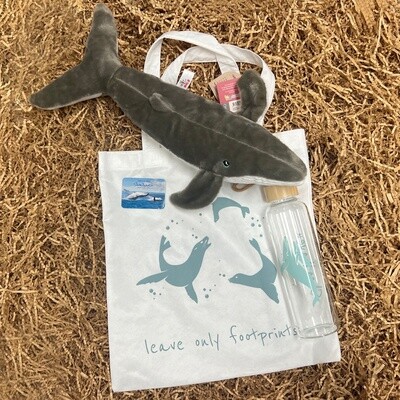 Whale Gift Pack