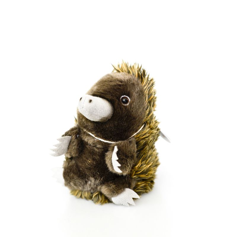 Echidna Plush Toy