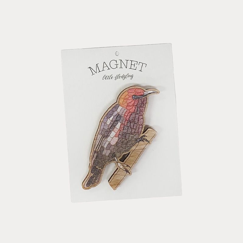 Scarlet Honeyeater Magnet