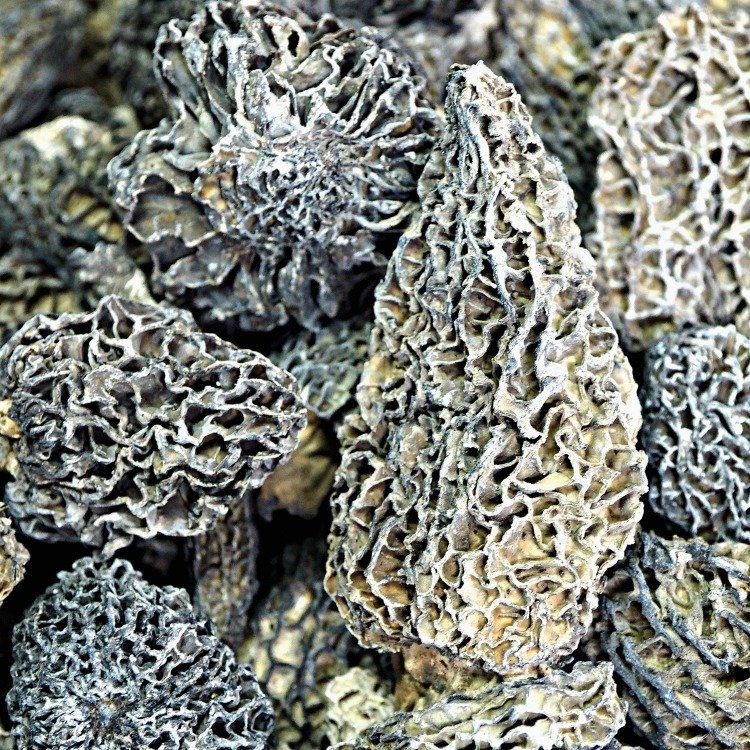 Wild Morels from Canada - 100gm per bag Wild Morels from Canada - 100gm per bag