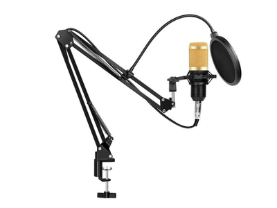 Andowl Professional Condenser Microphone Kit - Gold