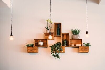 Design Interiors