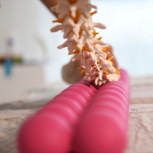 SPINEFITTER® BY SISSEL® PINK HERO EDITION